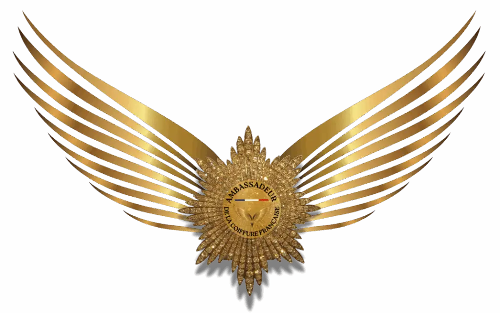Ambassadeur de la Coiffure Française – logo ailé